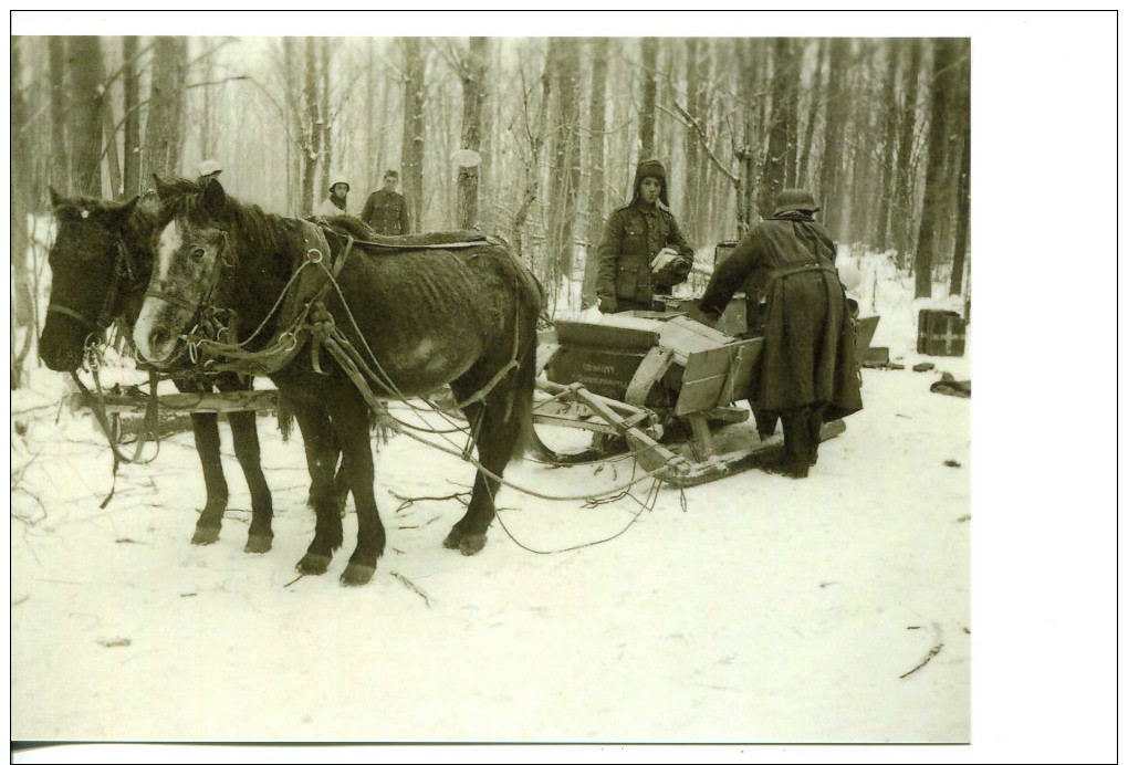 Militaria - Photo WW 2 Retirage - Soldats, Chevaux Tirant Luge - (366) - 1939-45