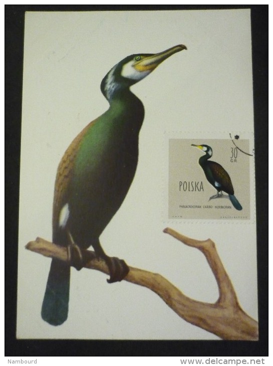 Oiseaux 6 Cartes - Maximumkaarten