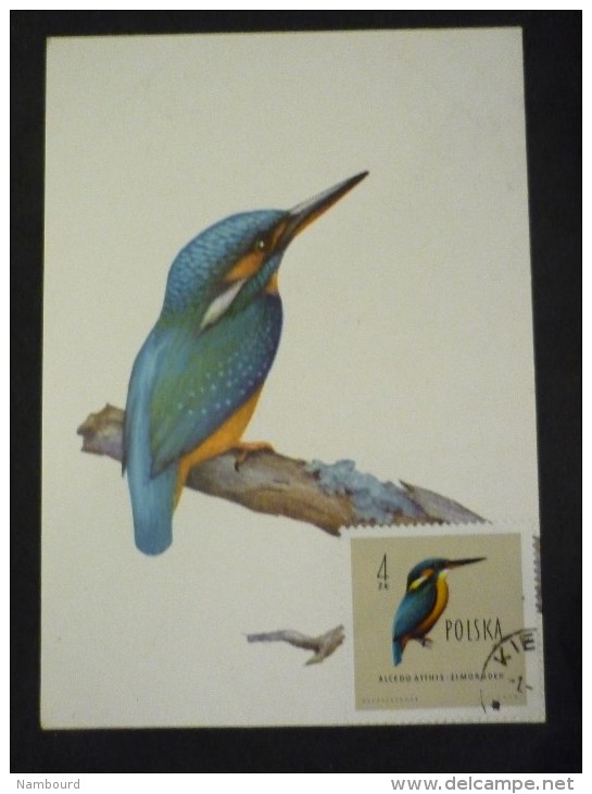 Oiseaux 6 Cartes - Cartes Maximum