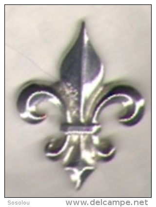 Fleur De Lys Argentée - Villes