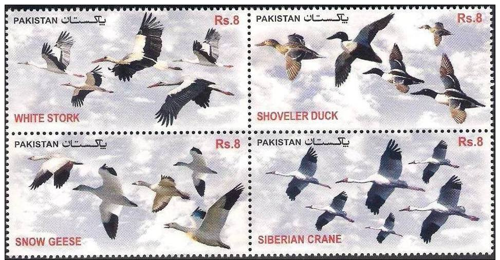 Pakistan Stamps 2012 Migratory Birds White Stork Shoveler Duck Snow Geese MNH - Pakistan