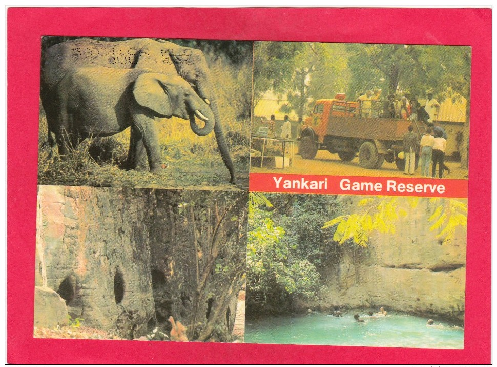 Multi View Card Of ,Yankari National Park,Nigeria.,Africa,Posted With Stamp, B21. - Other & Unclassified