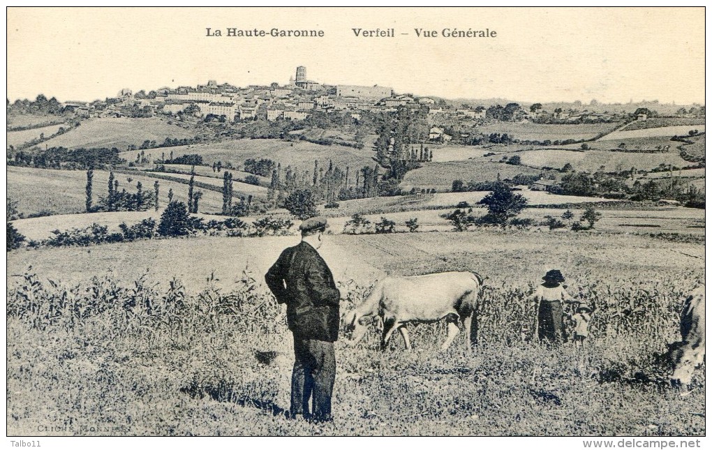 Verfeil - Vue Générale - Verfeil