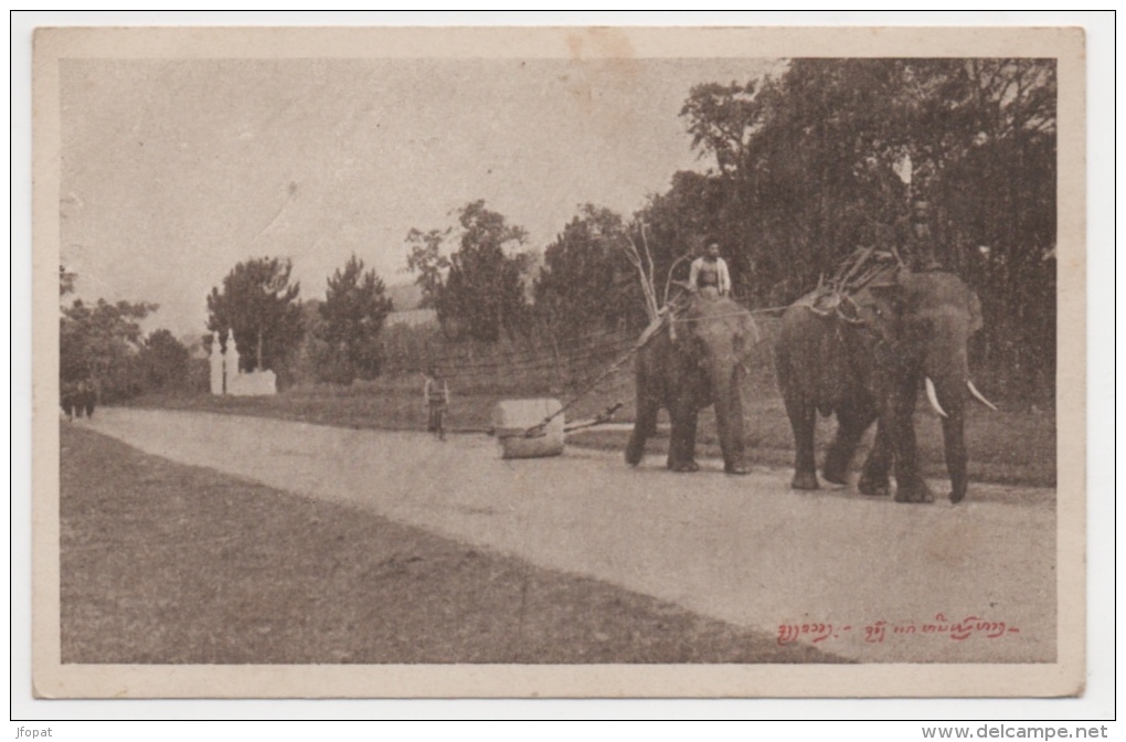 LAOS - XIENG KHOUANG  éléphants Employés Au Cylindrage (voir Descriptif) - Laos