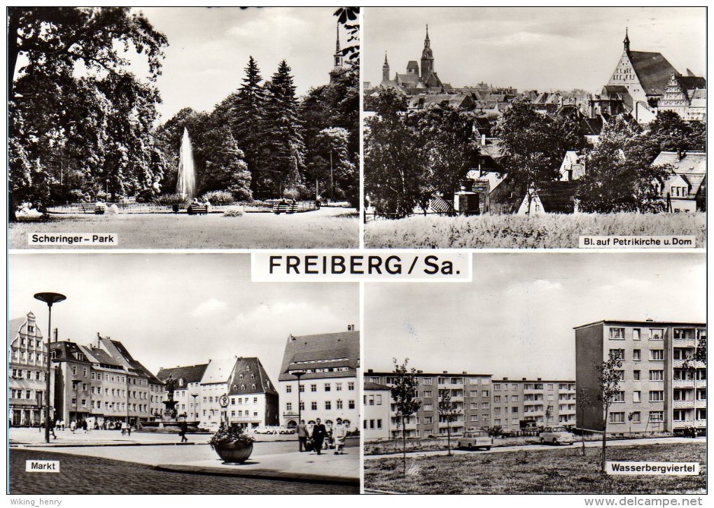 Freiberg In Sachsen - S/w Mehrbildkarte 11  Großbildkarte - Freiberg (Sachsen)