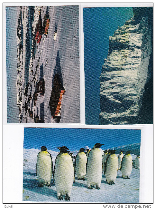 CHINE 1999  Trois CP Expédition Polaire Arctique 1999.7.1 - Chinese National Arctic Research Expedition - Expediciones árticas