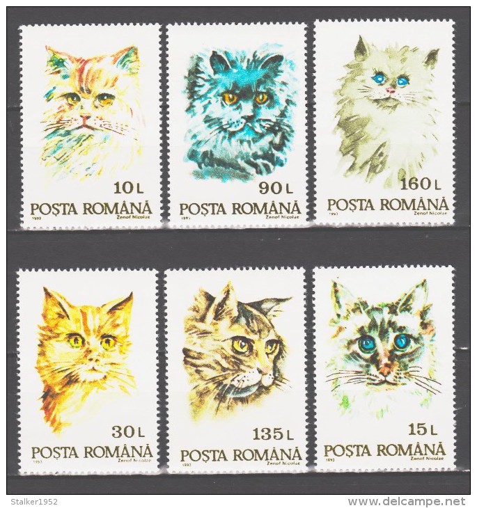 Romania 1993 Rumänien Mi 4885-4890 Cats **/MNH - Chats Domestiques