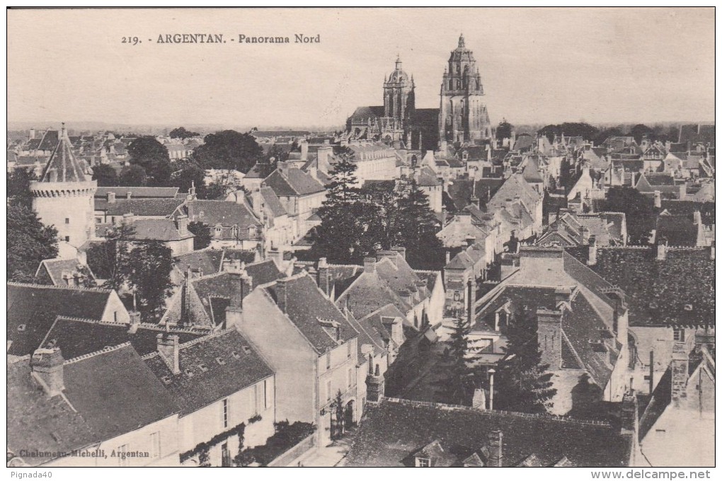 Cp , 61 , ARGENTAN , Panorama Nord - Argentan