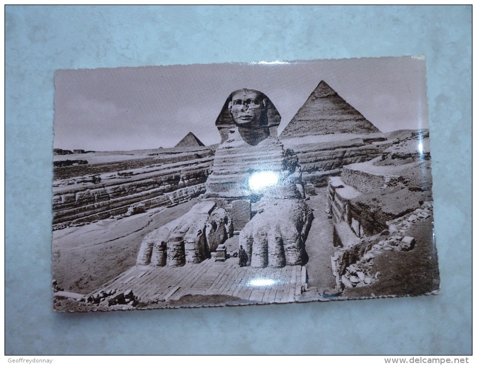 Egypte Sphinx De Gizet Et Pyramide - Gizeh