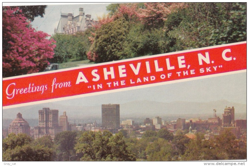 USA, Greetings From ASHEVILLE, NC, In The Land Of The Sky, Unused Postcard - Asheville