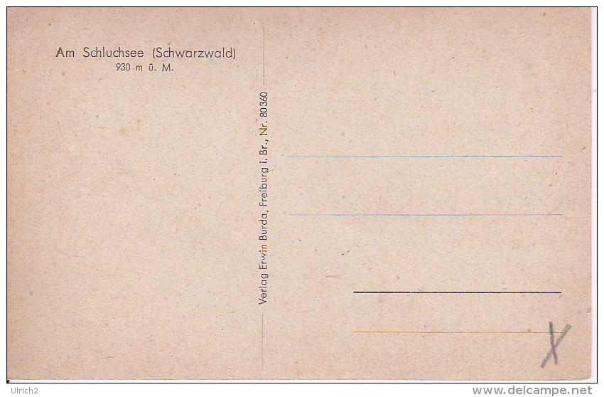 AK Am Schluchsee - Schwarzwald  (21044) - Schluchsee
