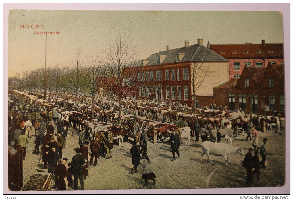 CPA Hoorn Beestenmarkt - Couleur - DW01 - Hoorn