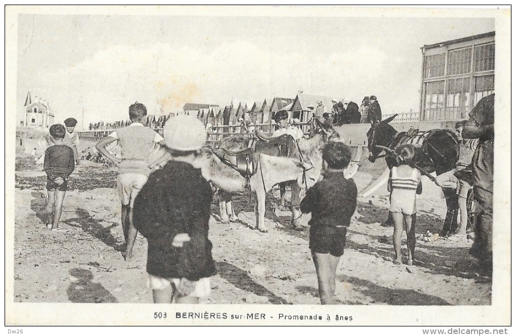 Bernières-sur-Mer (Calvados) - Promenade à ânes - Edition C. Hue - Carte N°503 - Autres & Non Classés