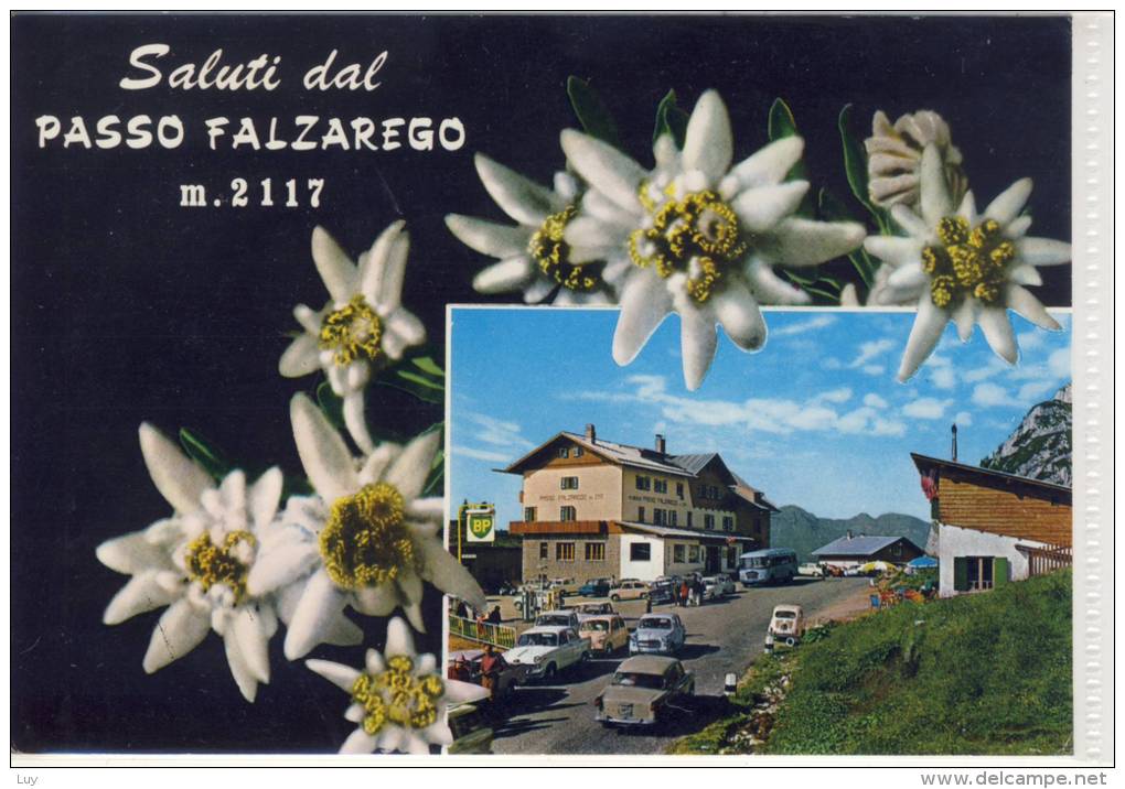 Passo FALZAREGO - Albergo Passo Falzarego,  Stella Alpina, Edelweiss - Altri & Non Classificati