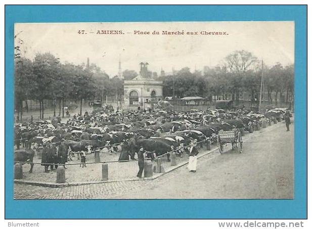 CPA 45 - Métier Maquignon - Marché Aux Bestiaux Place Du Marché Aux Chevaux AMIENS 80 - Amiens