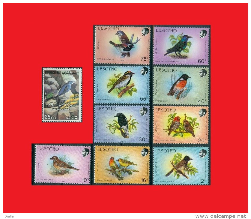 Songbirds  Birds / Oiseaux  Passeri  Oscines Lesotho 1988 - Iraq Irak 1976  MNH ** - Sperlingsvögel & Singvögel