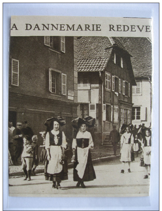 1915 -  DANNEMARIE  - Ville Redevenue Française    - Coupure De Presse Originale (encart Photo) - Documenti Storici