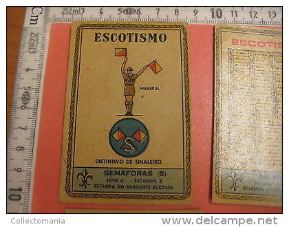 6 Boy Scout Cards SET 4 Semaphore Alfhabet Morse RARE Animal Name Knots Noeuds Boy-scout MYRTA Eucalol Semafoor - Scoutisme