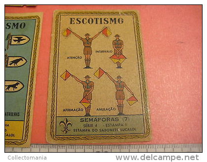 6 Boy Scout Cards SET 4 Semaphore alfhabet morse RARE animal name knots noeuds boy-scout MYRTA Eucalol semafoor