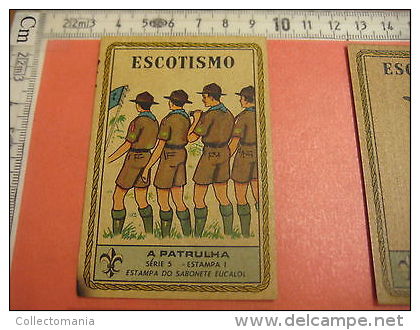 5 Boy Scout Card SET 5  Sun Orientation Reading Topgraphical Maps Tents PUB Rare - Scoutisme