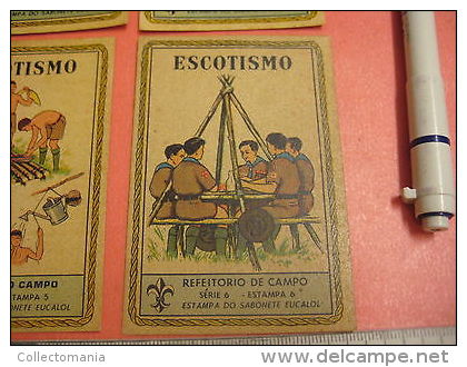 6 Boy Scout Card SET 6 complete camp fires food furniture hygene tents PUB Rare scouts padvinderij