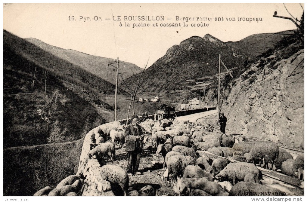 66 - ROUSSILLON - Berger Ramenant Son Troupeau à La Plaine Et Cassant La Croûte - Roussillon