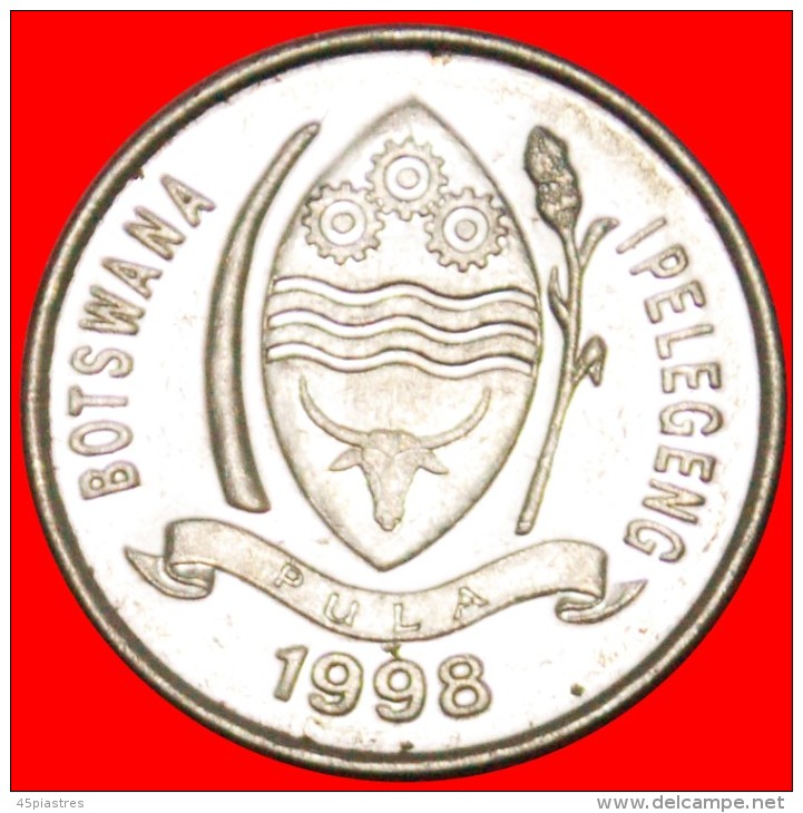 &#9733;GAZELLE: BOTSWANA &#9733; 10 THEBE 1998! LOW START&#9733; NO RESERVE!!! - Botswana