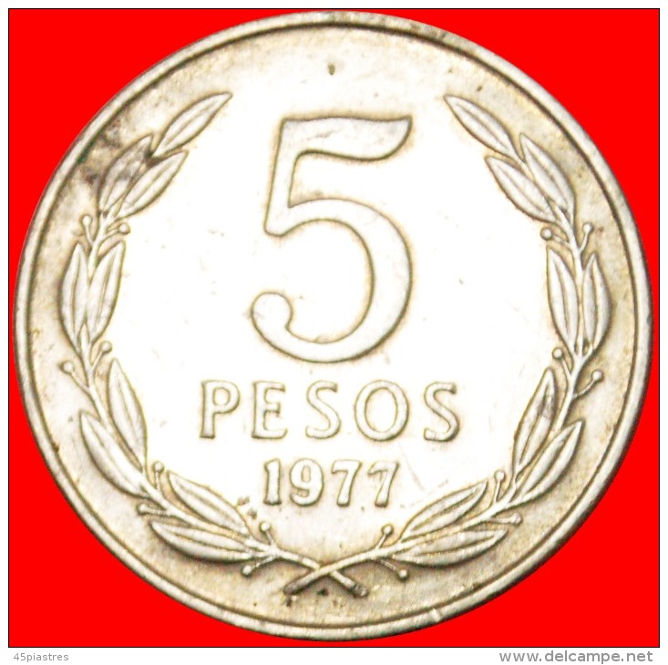 * ANGEL 1973: CHILE ★ 5 PESOS 1977! LOW START ★ NO RESERVE!!! - Chili