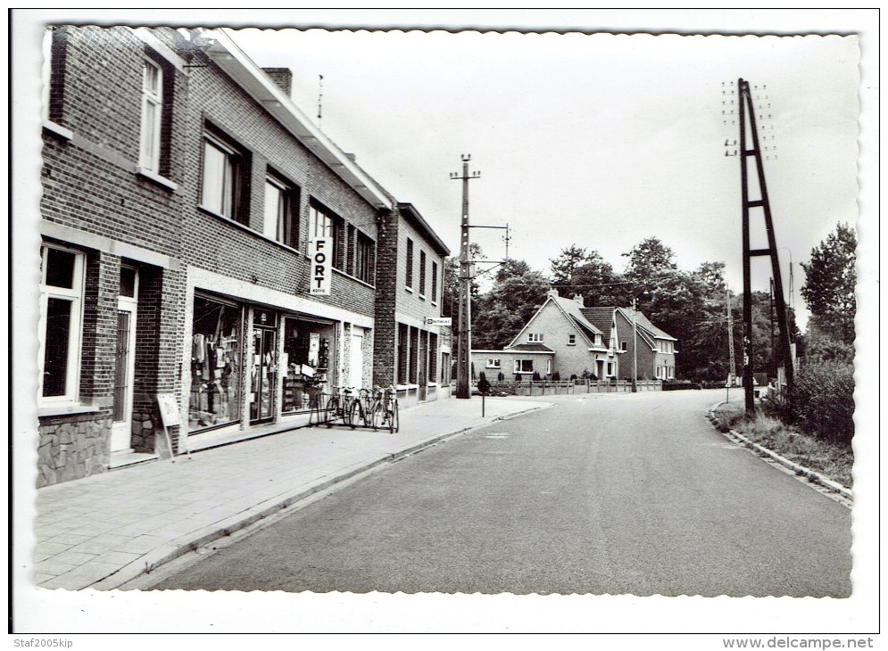 Geel - Ten Aart - Aartsteenweg - Geel