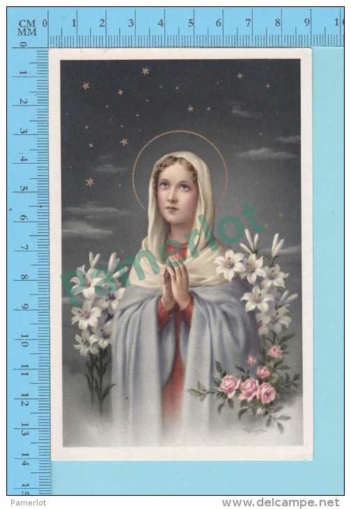 FB-Stelle-4075 Grande  (  Marie En Prière ) 9 X 14 Cm Image Pieuse Holy Card Santini - Images Religieuses