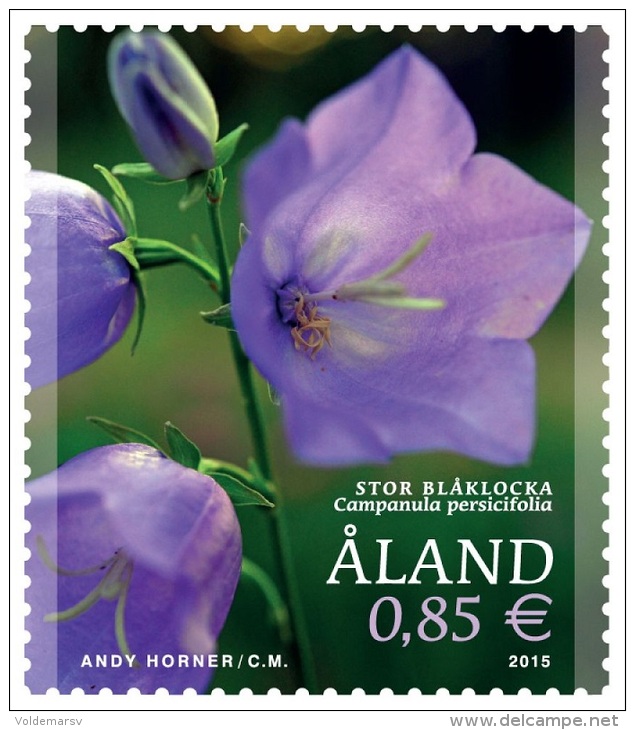 Aland 2015 Mih. 404 Flowers. Peach-Leaved Bellflower MNH ** - Aland