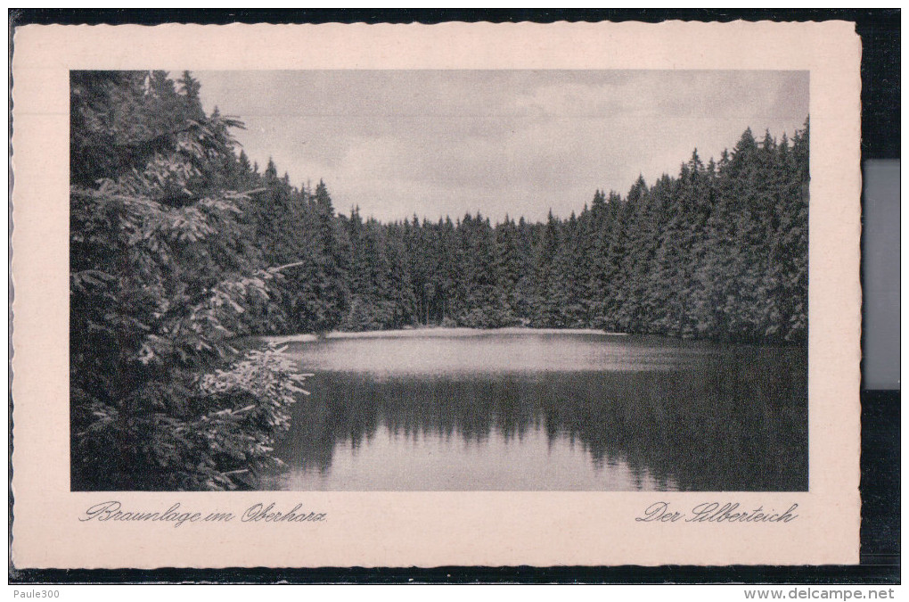 Braunlage - Der Silberteich - Harz - Braunlage