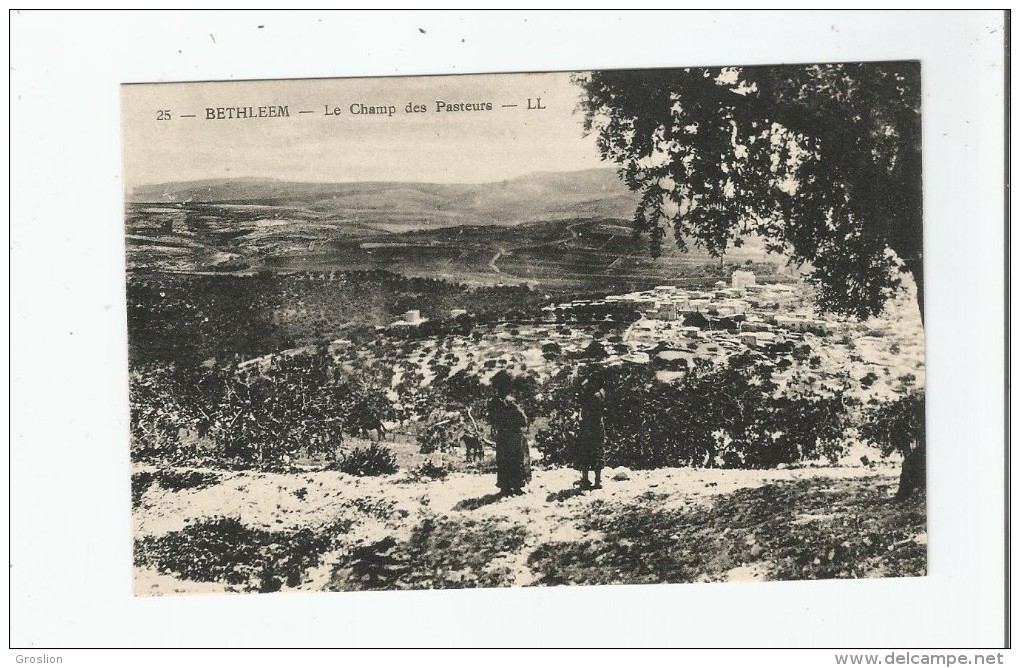 BETHLEEM 25 LE CHAMP DES PASTEURS - Palestine