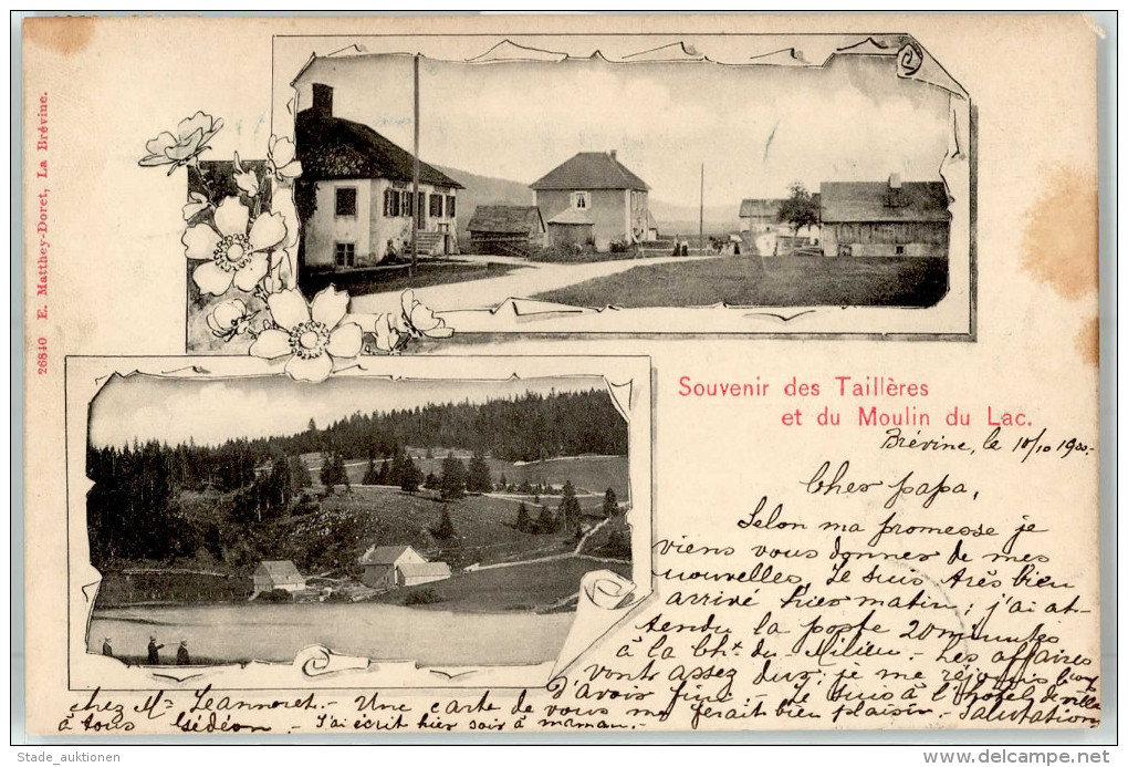 51036579 - Souvenir Des TAILLERES ET DU MOULIN DU LAC - Sonstige & Ohne Zuordnung