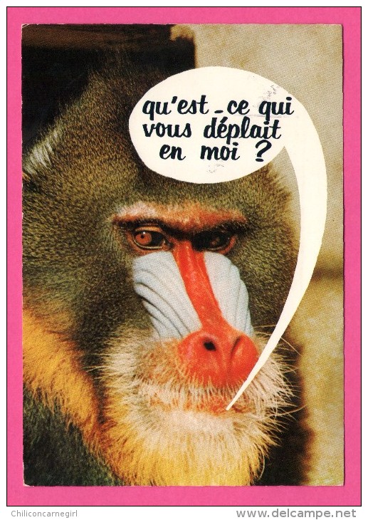 Humour - Face De Singe - " Qu'est-ce Qui Vous Déplait En Moi ? " - Cliché. PALNIC - CIM - S.P.A.D.E.M. - 1972 - Monos