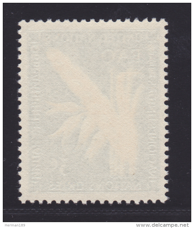 NATIONS UNIES NEW-YORK N°   23 * MLH Neuf Avec Charnière, TB  (D1295) - Neufs