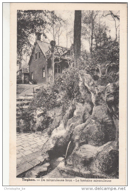 Tieghem, De Miraculeuze Bron, La Fontaine Miraculeuse  (pk28888) - Anzegem