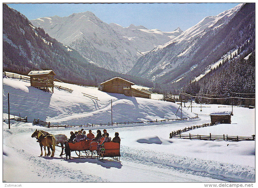 Neustift Im Stubaital - Schlittenfahrten - Neustift Im Stubaital