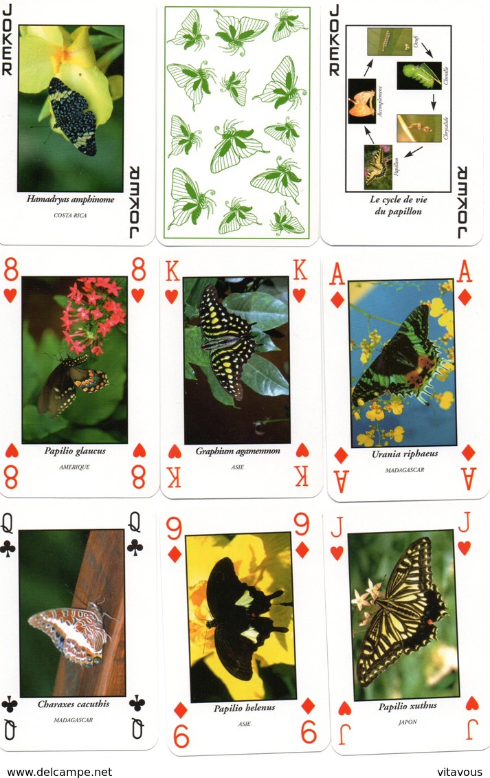 Jeu De 54 Cartes à Jouer Papillon Butterfly  - Playing Cards - 54 Cartas