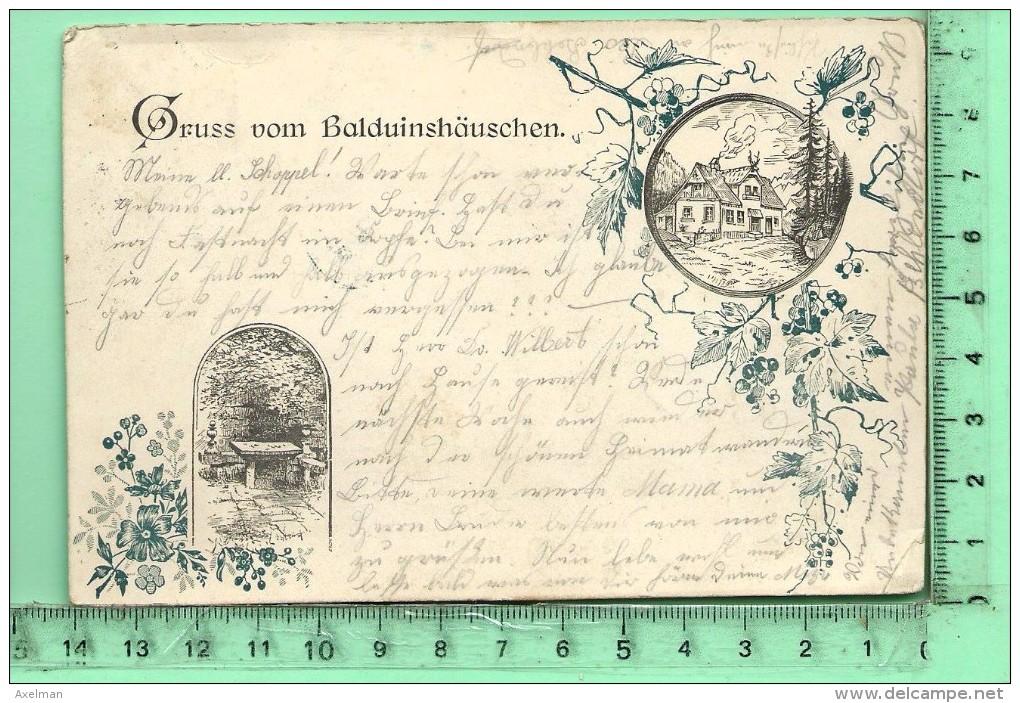 GRUSS VOM BALDUINSHÄUSCHEN: Lithographie Multi-vues - Diez