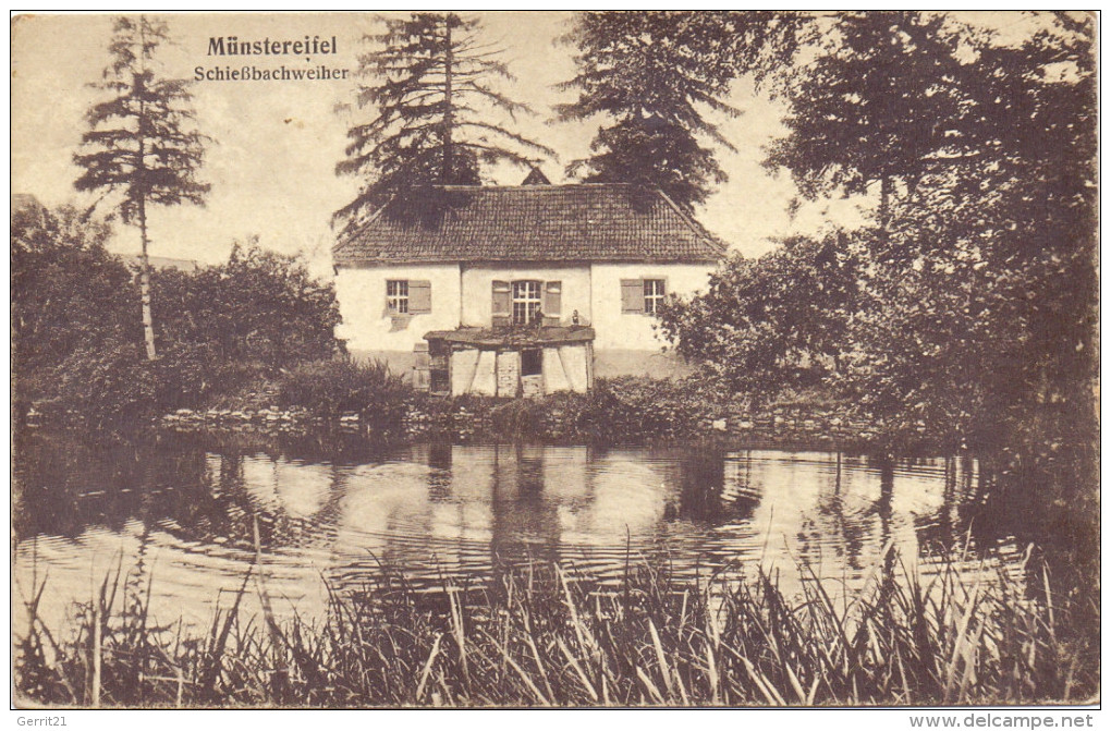 5358 BAD MÜNSTEREIFEL, Schiessbachweiher - Bad Muenstereifel