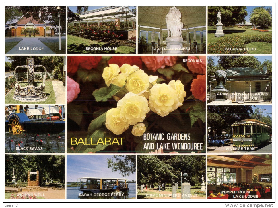 (333) Australia - VIC - Ballarat (roses) Larger Size Card - Ballarat