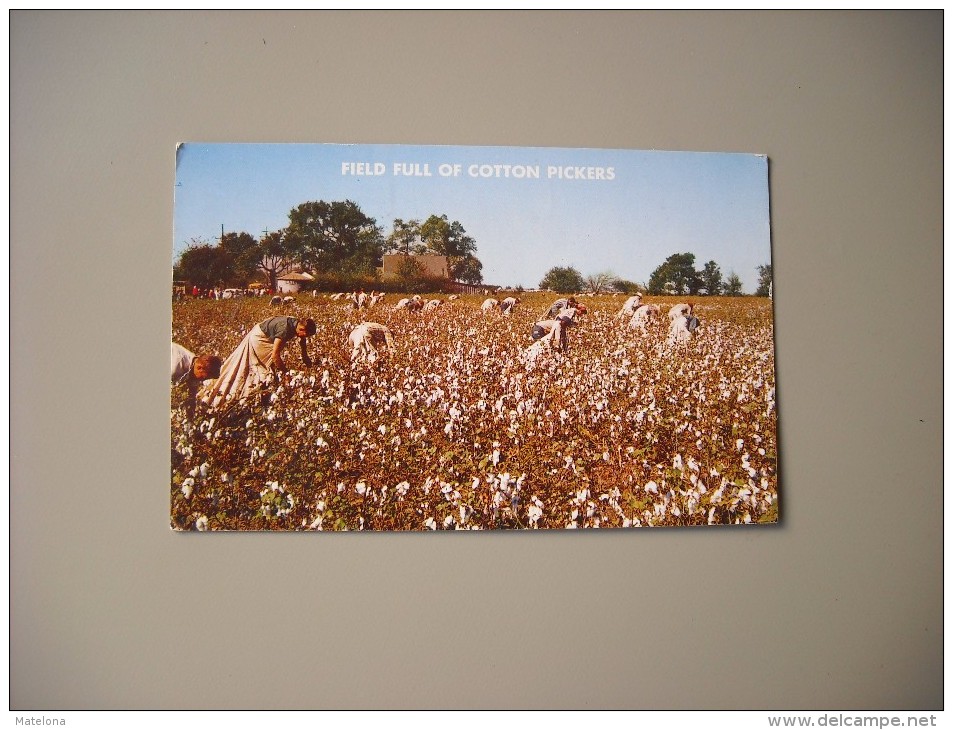 ETATS UNIS AR ARKANSAS A FIELD FULL OF COTTON PICKERS............ - Autres & Non Classés