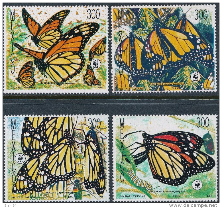 Mexico  Butterflies - Vlinders