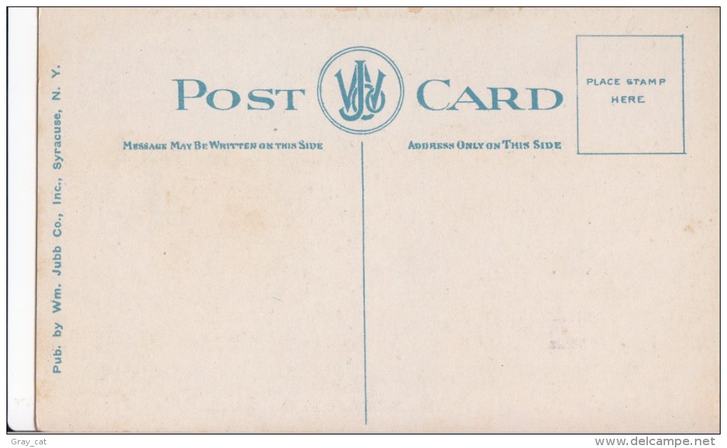 USA, Motor Boat Racing On Lower Saranac Lake, Adirondacks, NY, 1910s-20s, Unused Postcard [16438] - Adirondack