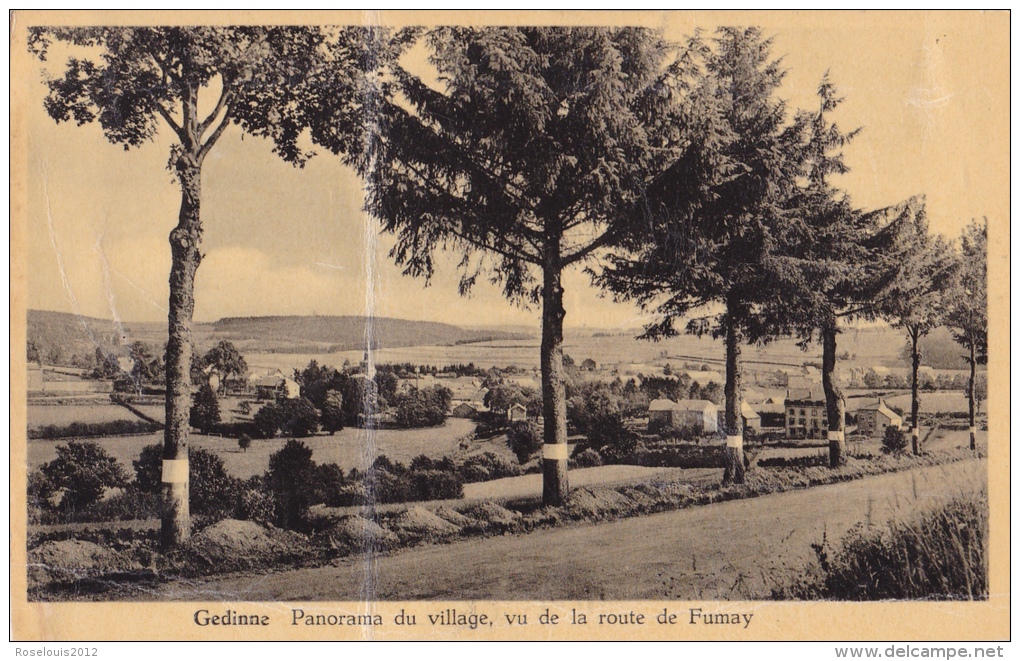 GEDINNE : Panorama Du Village - Gedinne