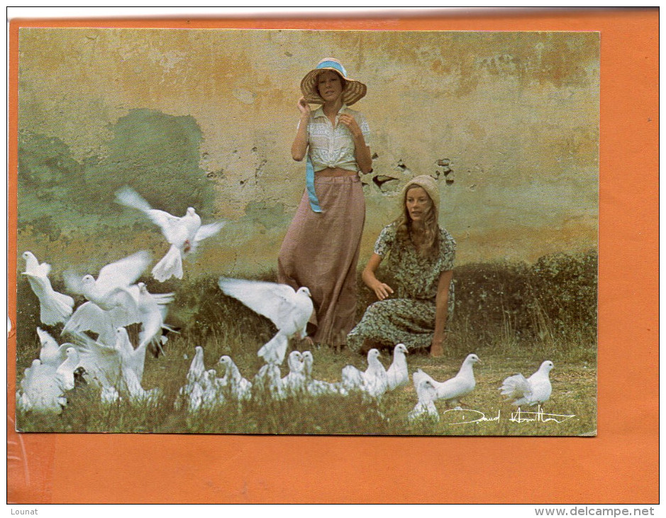 Illustrateur Photographe David Hamilton - Femme - éditions Agep Réf:0020 23non écrite) - Hamilton