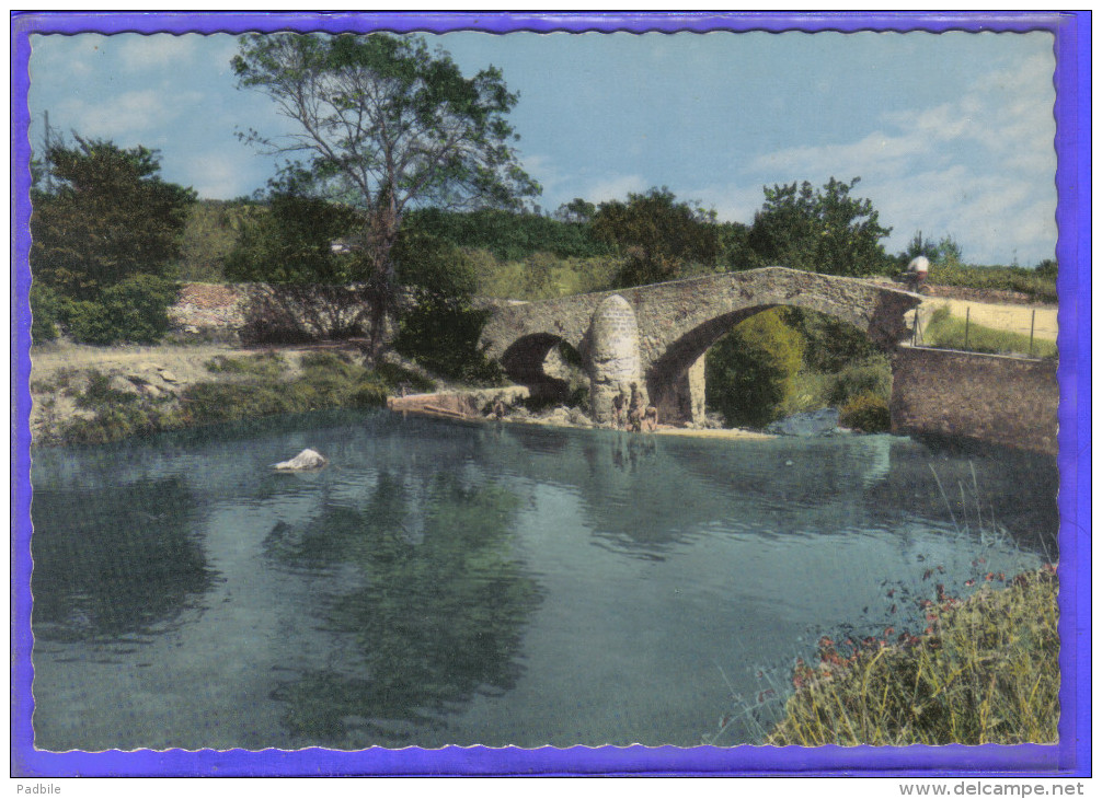 Carte Postale 83. Salernes  Le Pont Des Soupirs Trés Beau Plan - Salernes