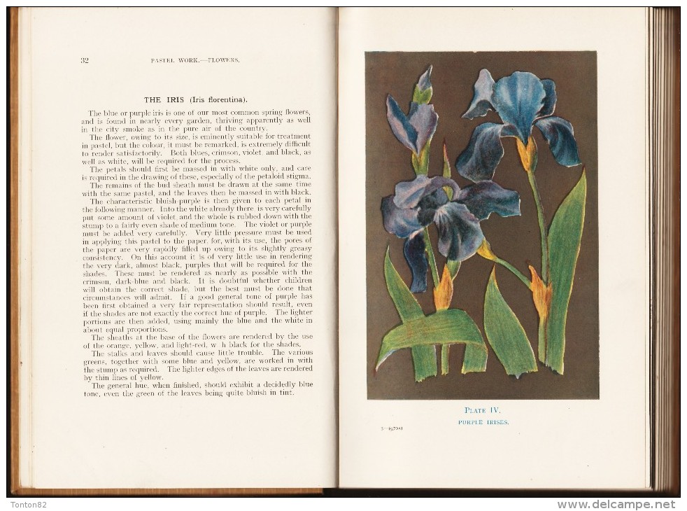 H.A. Rankin - Pastel Work Flowers - Ed. Sir Isaac Pitman & Sons,  LTD. - Vie Sauvage