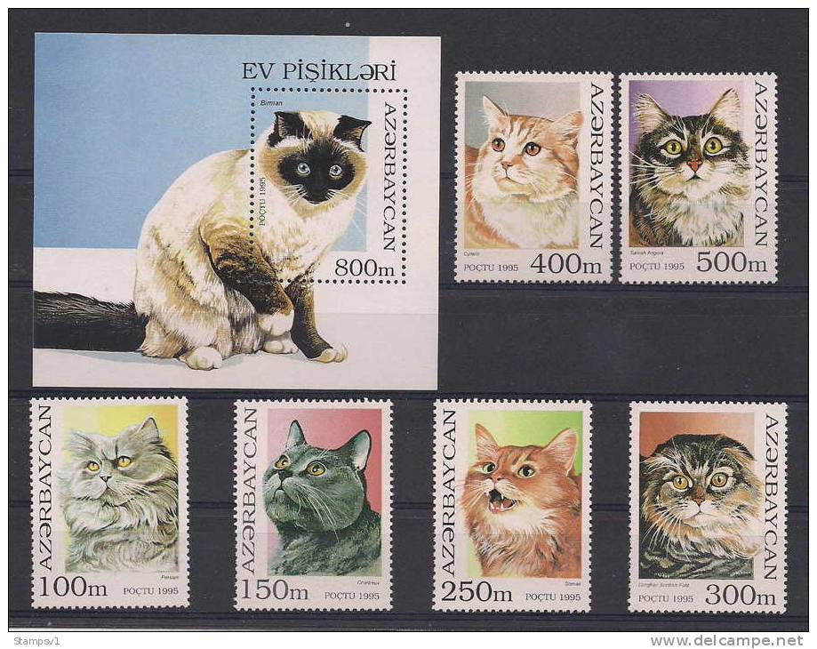 Azerbaijan. 1995 Domestic Cats. - Azerbaïdjan